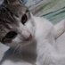 SanguinettiEncina (@sanguin01376964) Twitter profile photo SanguinettiEncina (@sanguin01376964) Twitter profile photo
