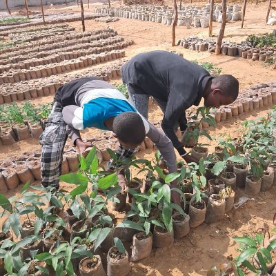 Bisha Cagaaran is a community-based organization that focuses on tree planting and sand dune conservation. 
https://t.co/Hr2oCyXdRw

Member of Green Party