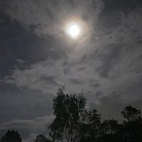 Emysofi (@emysofi2) 's Twitter Profile