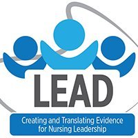Associate Professor PI of LEAD Outcomes Creating and Translating Evidence for Nursing LEADership and Health Services College of Nursing U of Manitoba