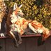Wolphy (@warrioryote) Twitter profile photo Wolphy (@warrioryote) Twitter profile photo