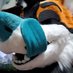 Dam the Bottomless Pit ๐ ๐ FE (@somewolfya) Twitter profile photo Dam the Bottomless Pit ๐ ๐ FE (@somewolfya) Twitter profile photo
