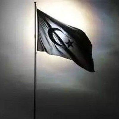 dusunceli01's profile picture. 