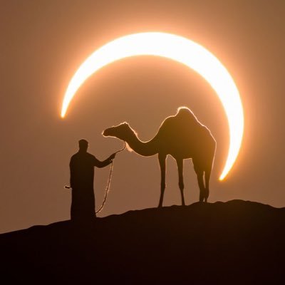 ZeidaneInoussa's profile picture. 