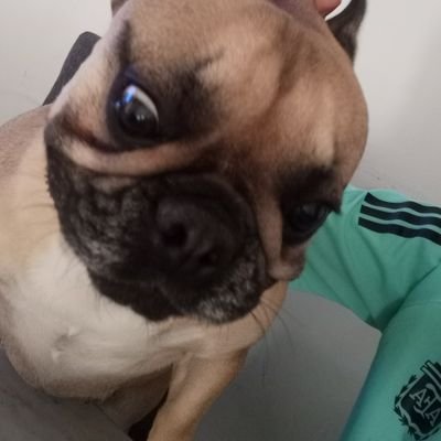 sigan en Instagram q Twitter no uso jaja @_lautaro_290