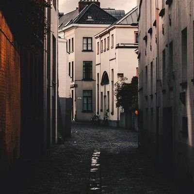 am________12's profile picture. Always out of the ordinary  🔆♊
#كاظم_الساهر💜