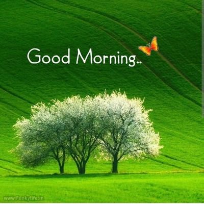 arman4malik1's profile picture. 