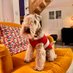 Bertie Lakeland (@bertie_lakeland) Twitter profile photo