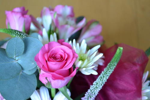 16Fie's profile picture. Full time mummy to my little boy & a little angel xx