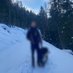 Financial Free Roamer ⛷️ (@financialroamer) Twitter profile photo Financial Free Roamer ⛷️ (@financialroamer) Twitter profile photo