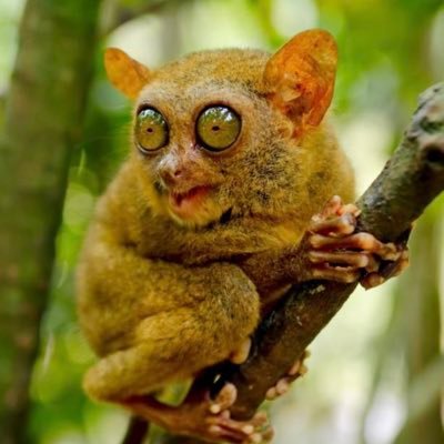 EdwardRacek's profile picture. 