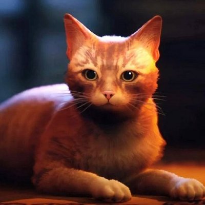 crrsc_vincent's profile picture. 