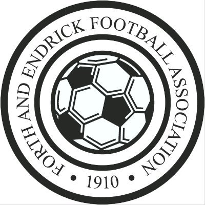 Forth & Endrick Football Association  - Affiliated to the Scottish Welfare FA