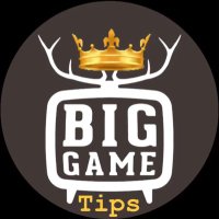 BGT π (@biggametips1) 's Twitter Profile