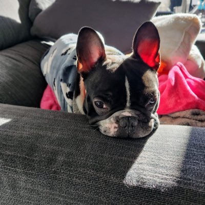 PaolaRS26's profile picture. 