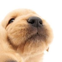 h (@strawbpudding) 's Twitter Profile Photo h (@strawbpudding) 's Twitter Profile Photo