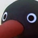 netsecurity6's profile picture. 