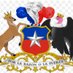 Gabriela Barraza Lopez (@gabriel47879059) Twitter profile photo Gabriela Barraza Lopez (@gabriel47879059) Twitter profile photo