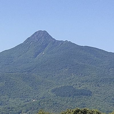 Montseny, Vall d'Arbúcies, Sabateres i Girgoles.