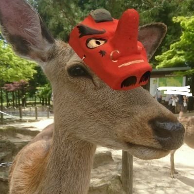 魔法使いおもちさんのプロフィール画像