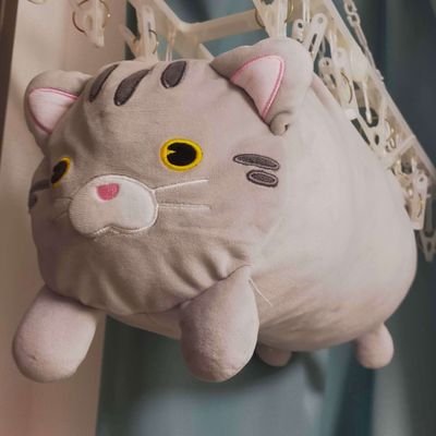 4月まで新規不可。
4月以降の日程も未定です。
テキセ多め。
シノビガミ、ソドワ。他システムもろもろ
TCGやらもたまに触れてたり
