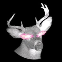 $ADABUCKS🦌(@James13046976) 's Twitter Profile Photo