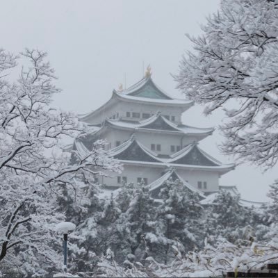 MarkMaYT's profile picture. I’m Charlie Kirk. 🇺🇸🇹🇼🇮🇱