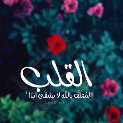 داعيه ومعلمة قران ومدربه محلياًودوليا وحاصله لدورات عده وممارسه للتدريب لاارغب بمتابعة الرجال لي من تابعني رجاءً الغاء المتابعه من قِبل الرجال