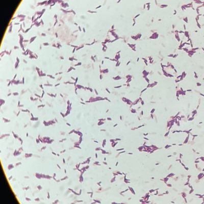 exergonicrxn's profile picture. the center must hold