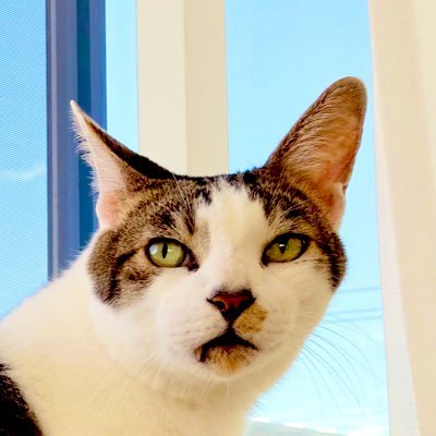Mikity Profile