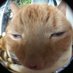Jells (@jwpjells) Twitter profile photo Jells (@jwpjells) Twitter profile photo