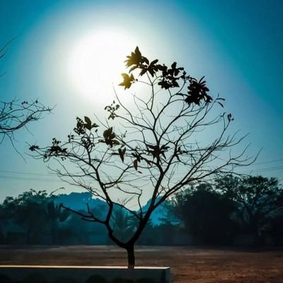 ILA62589835's profile picture. 