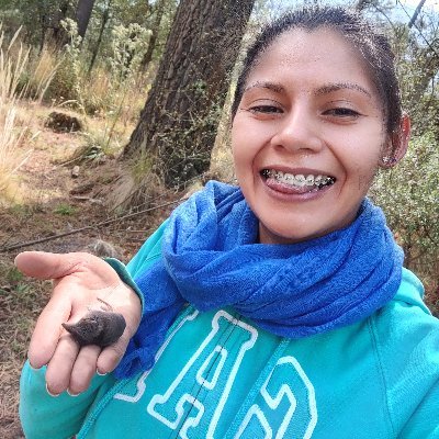 Bióloga 
Estudiante en UNAM
Sistemática Biogeografía Morfología 
Mammalogist 🤓🐾
#Shrews #Musarañas 💙✨