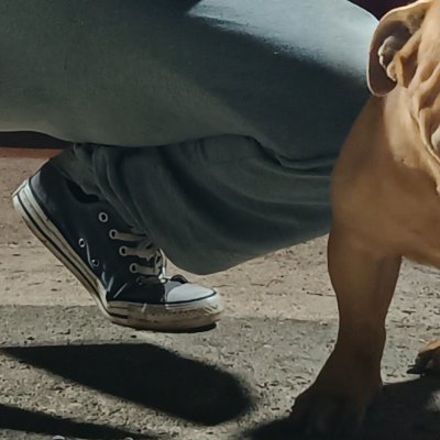 4FsVzAFqdDtTglV's profile picture. 