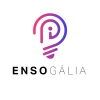 Enso Gália(@EnsoGaliaPI) 's Twitter Profile Photo