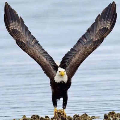 kgauzaMoteix's profile picture. 