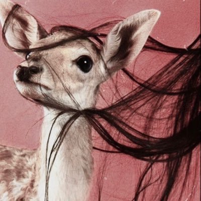 toori33's profile picture. strong women بس بكايه