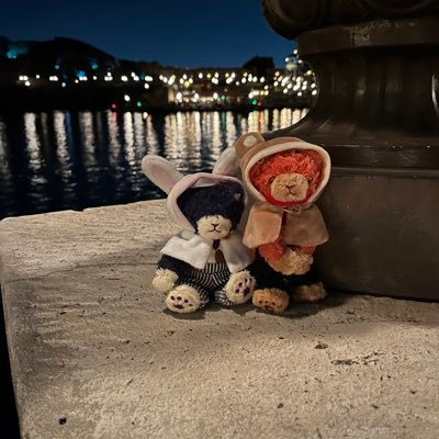 かいかいさんのプロフィール画像
