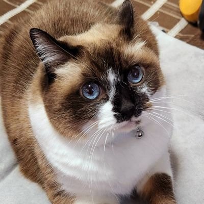 のりちゃん (@M0LShfkcoAVreuT) / Posts / X