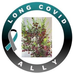 COVID IS AIRBORNE, BSL 3 virus. Always masked indoors/outdoors. Breathe clean air. Covid is a vascular disease and maims immune system!!!