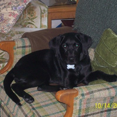 Cmm24380's profile picture. 