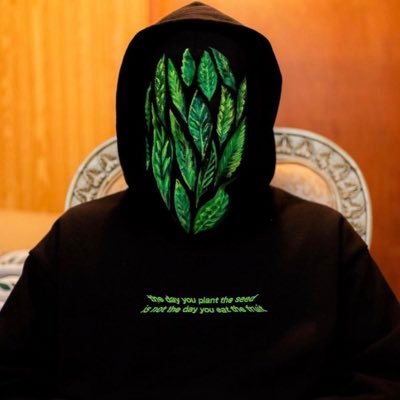 @aplasticplant