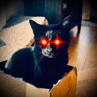 Rejekts✝️ (@prejekts) 's Twitter Profile
