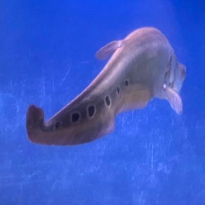 Louisさんのプロフィール画像
