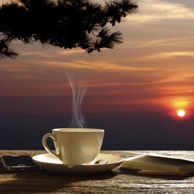 café ☕️(🦺,🦺)