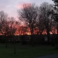 Warren Smyth (@warrensmyth14) 's Twitter Profile Photo