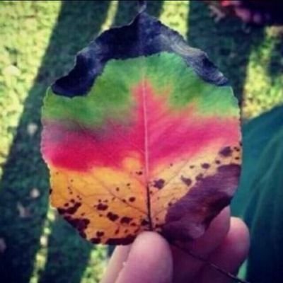 zxsailiuhecai's profile picture. 什么都爱研究一下。