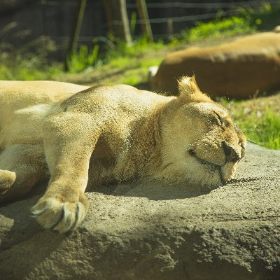 seksi_sibuk's profile picture. Semua kesibukan cuma semu biar keliatan eksis, terdidik, serta punya pencapaian