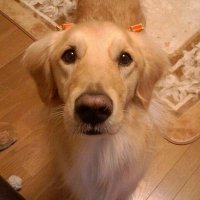 Rai MuuMuu (@muumuuark) 's Twitter Profile