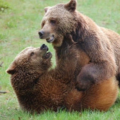 toponditmars's profile picture. Into a lot. dm’s open.  ask about my teleguard